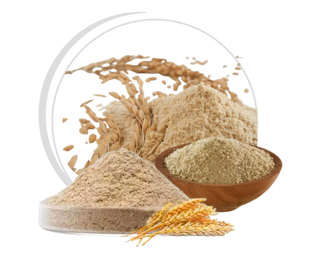 Dried Rice Bran